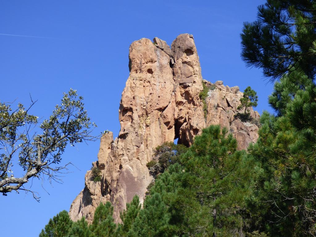 Chambres d'Hôtes Vue Mer L'Estérel Panoramique Saint-Jean-de-l'Esterel Esterno foto