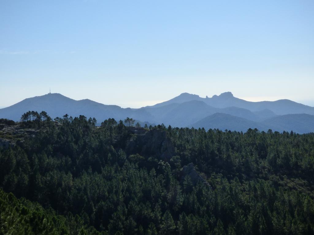 Chambres d'Hôtes Vue Mer L'Estérel Panoramique Saint-Jean-de-l'Esterel Esterno foto